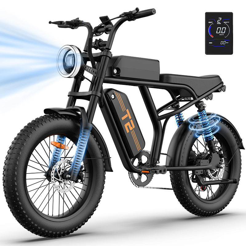 URLIFE T2 E-Bike Fat Tire 250W 54.6V 15.6Ah Bicicletta Elettrica MTB 20x4” 120KM Autonomia 7 Velocità Off Road Uomo Donna